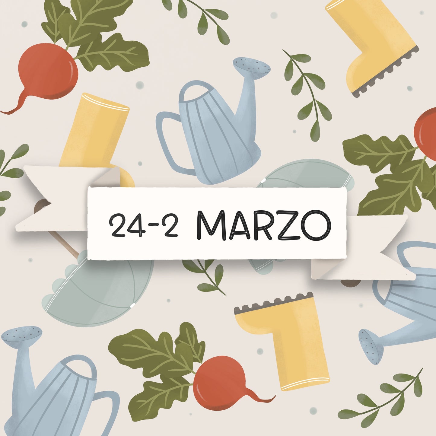 Biscotti personalizzati 24 febbraio - 2 marzo