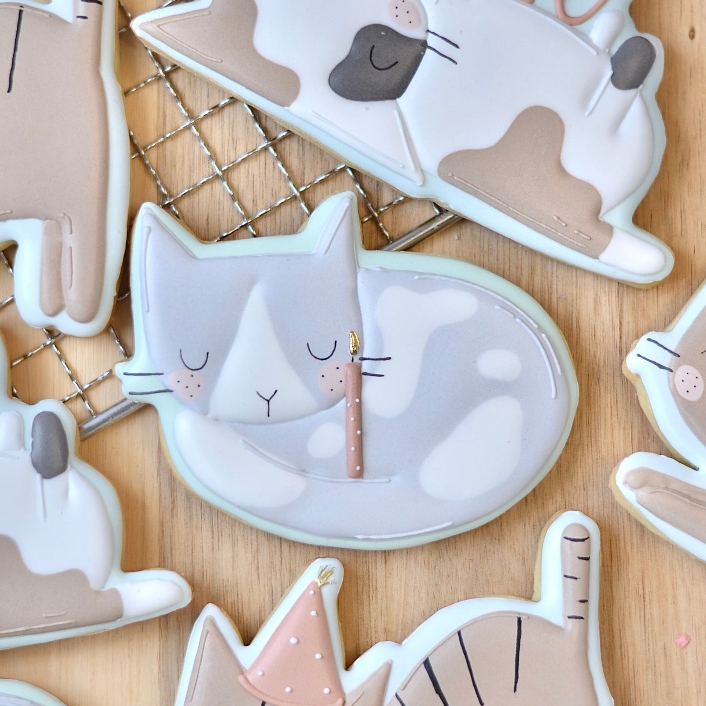 Birthday Sleeping Cat