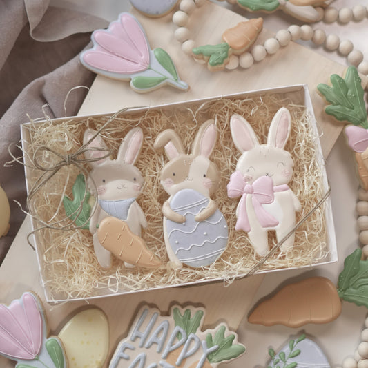 Rabbit package with egg